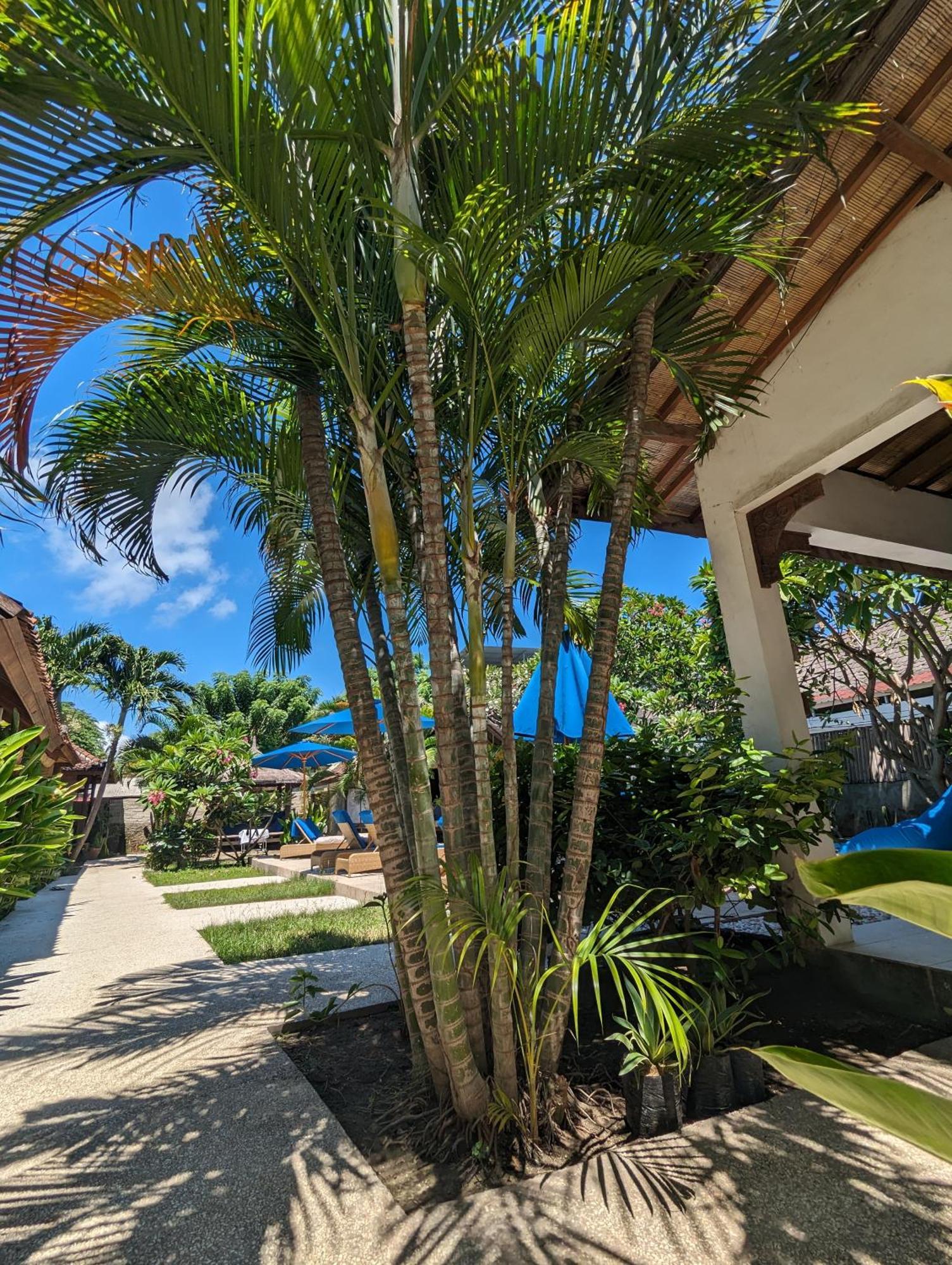 Indigo Bungalows Gili Trawangan Buitenkant foto