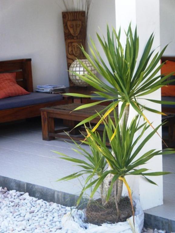 Indigo Bungalows Gili Trawangan Buitenkant foto